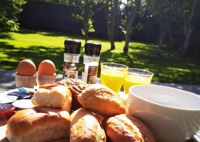 The Island Life Texel - Wellness Bed & Breakfast 4*