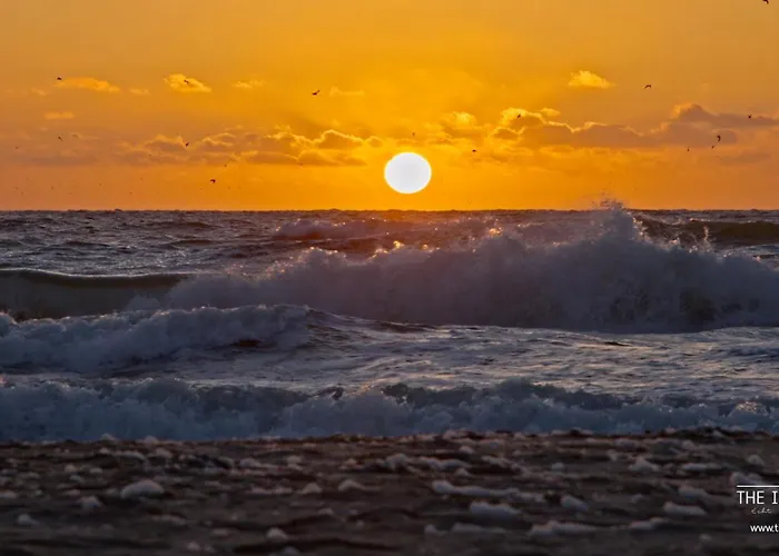 The Island Life Texel - Wellness 데쿠크