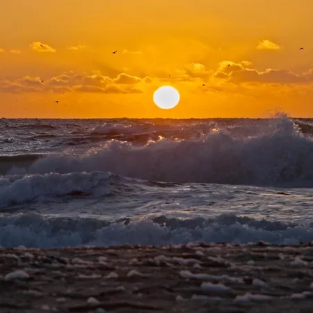 The Island Life Texel - Wellness De Koog (Texel)